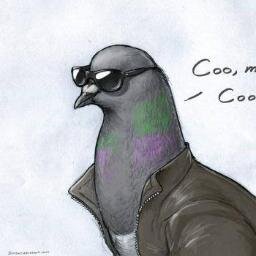 Coo man....   Coo