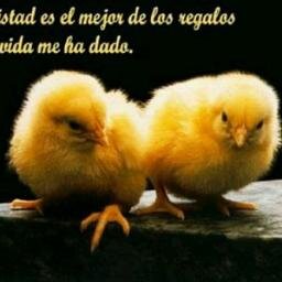 Las mejores frases de amistad de la red #frases #amistad #amigos