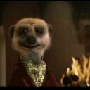 marcus dyer - @carlosedyer - Twitter