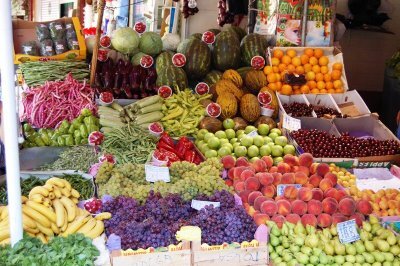 startup dedicada a la agricultura ecológica.Porque comer sano y barato puede ser posible.Alquilamos parcelas para explotaciones propias