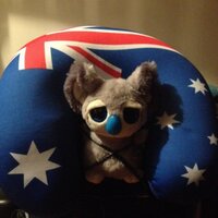 Kevin the Koala(@KevTheKoala) 's Twitter Profile Photo