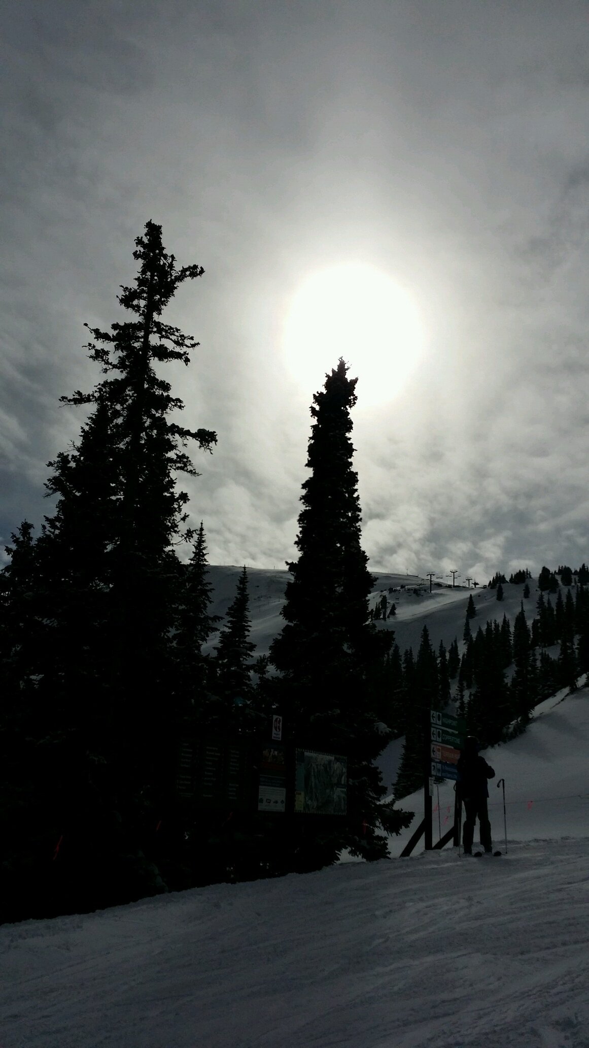 lestird's profile picture. summer sucks