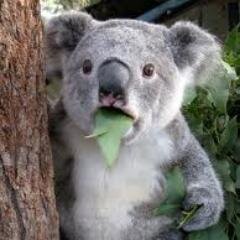 funniest tweets ever.follow me i follow back