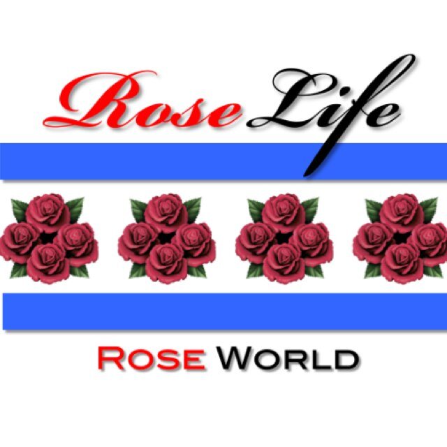 {N€W CHICAGO} Fresh coming soon Artist Southside Raised BSmoov~Raúl Lauren. Ron Lee x Raúl Lauren- #getaclue http://t.co/tWK6DO5aav