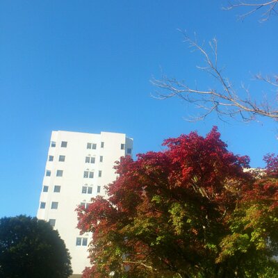 これでも大学職員 今年の開成中の国語の問題 カタカナの ヲ の書き順を問う問題が出た模様 確認したらオレ間違えてた Http T Co Yajl2nvupa Http T Co Sqzcuccaak Twitter
