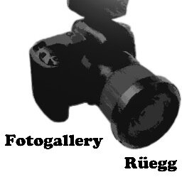 FotogalleryMR's profile picture. FOTOS
