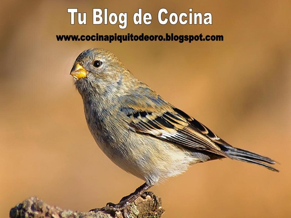 Cuenta Oficial del Blog Cocina amateur Piquito de Oro.