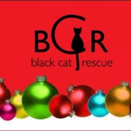 A Pawty to help us have fun on Catmas Eve so no one is lonely. Pawty benefits Black Cat Rescue.