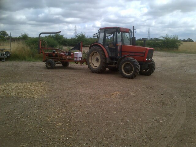 Self appointed head of forage production and collection/ stockman on the family farm.
