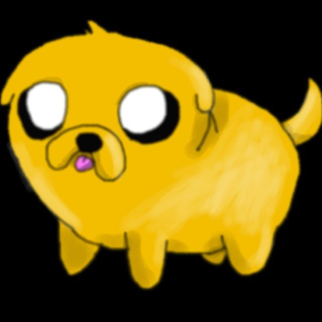 Hey, i am Jake The Dog. Finn (@mlp_finn)
Is my bestfriend and (@mlp_Rainicorn) is my girlfriend. Adventuring all day! Everyday! ((RP HEAVY))