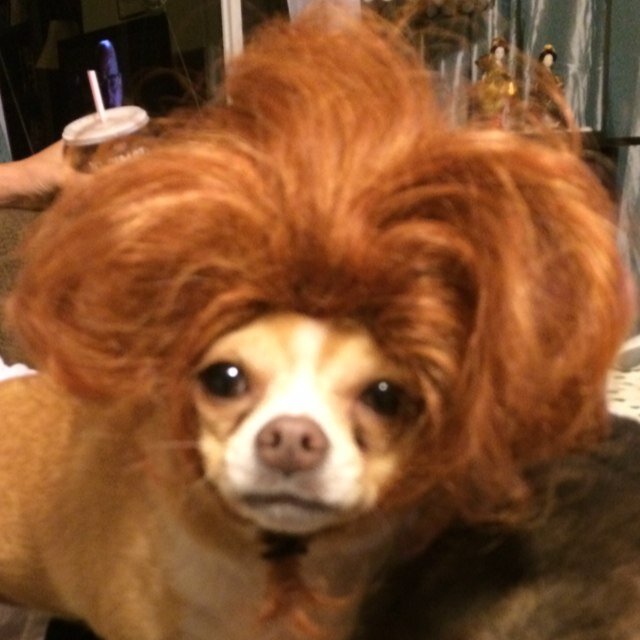 randyridge's profile picture. I make things go