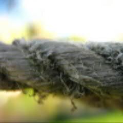 abocada's profile picture. 