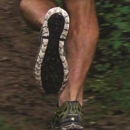 Strongerrunner's profile picture. An up-to-date resource to help you be a great coach, learn more about becoming a running coach or find the coach that matches your running needs.