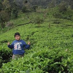 DimasLutfiansy2's profile picture. 