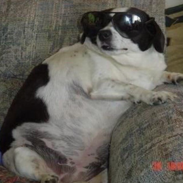 0moretweet4me's profile picture. single in the womb, single til the tomb