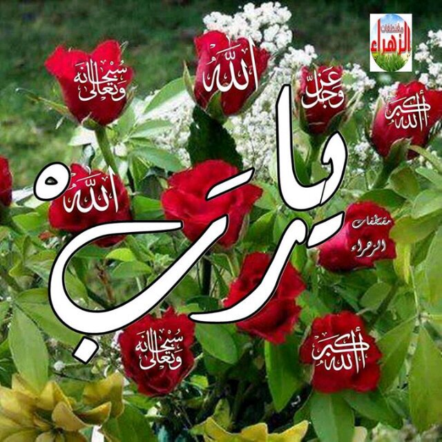 MamaSaheli's profile picture. 