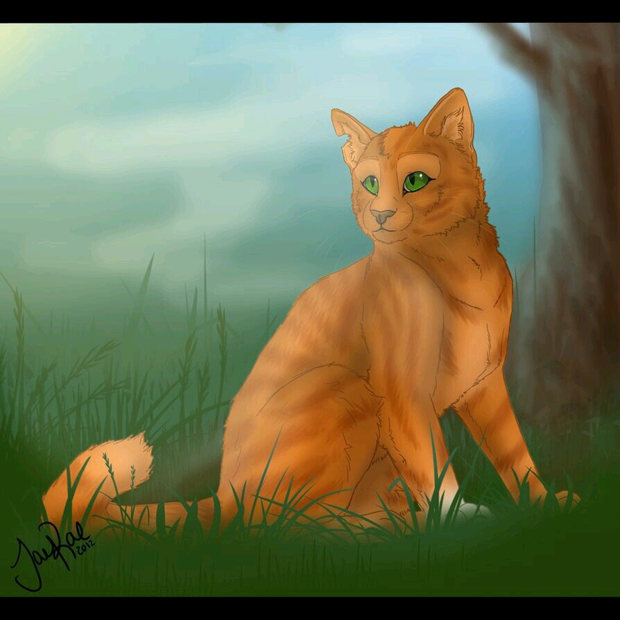 Im RussetHeart #She-Cat looking for a mate