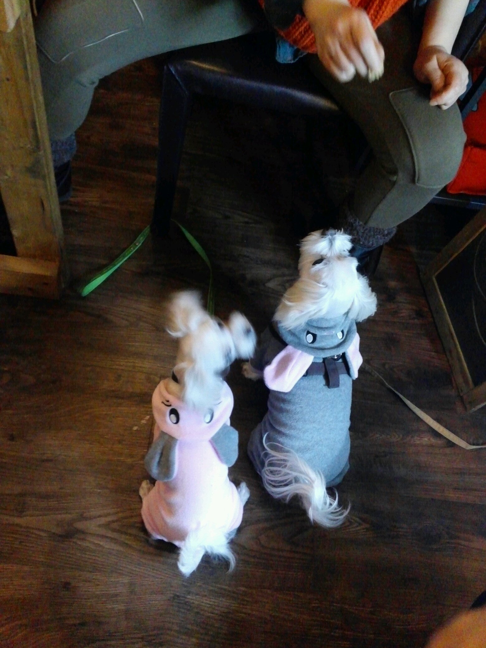 콩ㆍ 맑음ㆍ   같이 살고 있어요