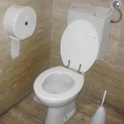 Here it is: the comprehensive record of my bowel movements (and attempts thereat) for the ages.