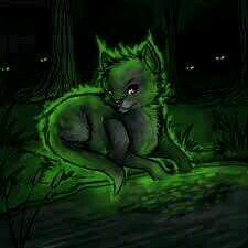 Im CinderStripe Im not in a Clan!!!!