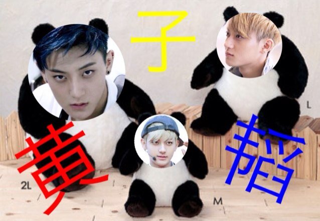 엑소.사랑해요☣❥×12 “たおぱおHZT〜 黄子韬” （真空パックからのジップロックして永久保存）気軽にフォローちゅせよ♡☜