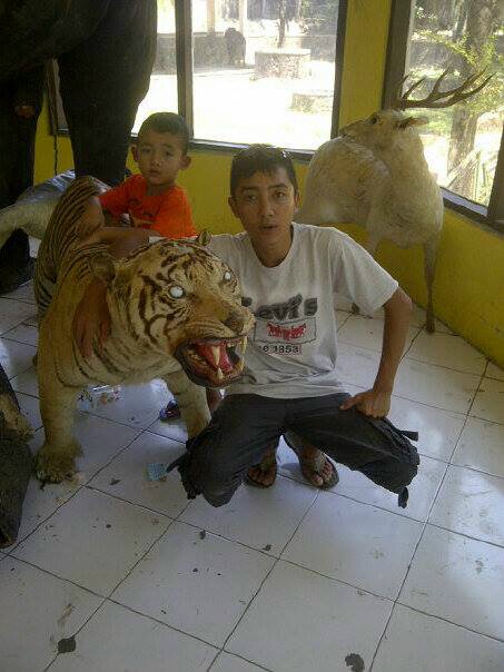 Hansom,smart n prikitiew..
