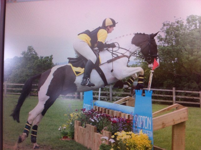 Chartered surveyor and amateur rider competing at BD and eventing when funds allow!