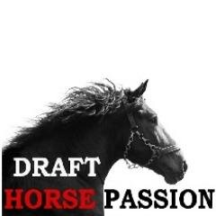 Brilliant Danish artist and average American mid-westerner conspire to dress draft horse enthusiasts around the globe. http://t.co/0cc6UgO9Vs