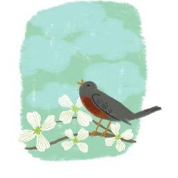 CHEN_Yimi's profile picture. 