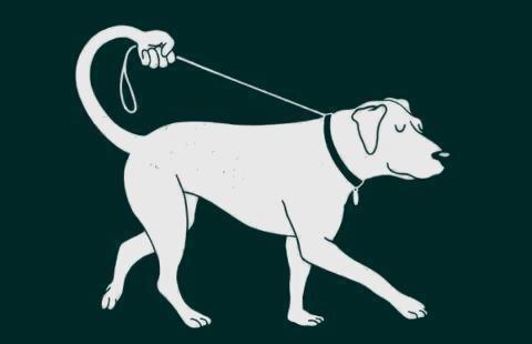 fateal1987's profile picture. 