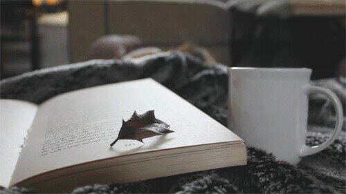 annorah44's profile picture. 