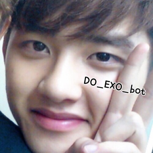 EXO-K D.O. ／ 도경수 bot