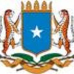 Welcome to the Somali Airways.  Owner is one of Somalia's most influential entrepreneurs in Media, Travel and Tourism @SOMediaEmpire