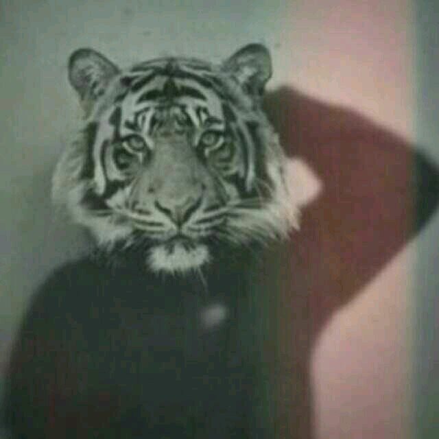 Bio :)