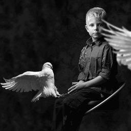 Aznj88aznj's profile picture. 