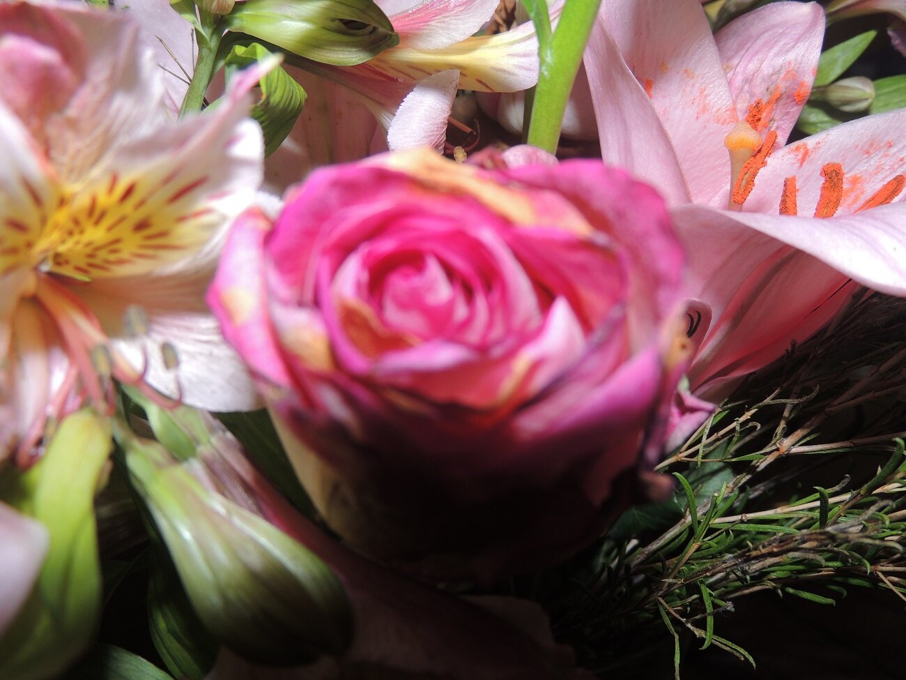 smg216's profile picture. Wife, mother, grandmother. Enjoys books, movies, music. Crafty, enjoys forgotten arts. Library coordinator by day, student by night.