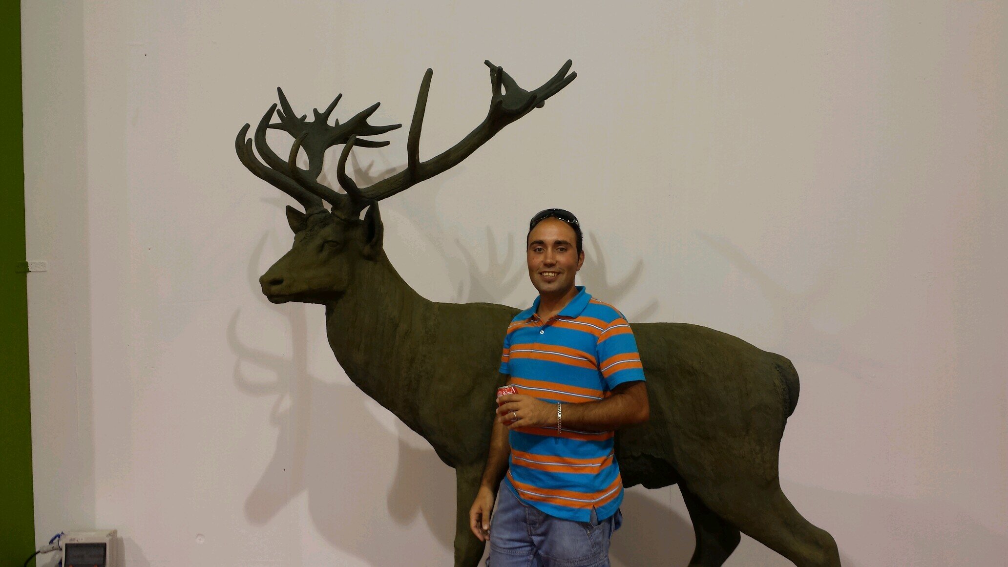 joseholgadoalba's profile picture. 