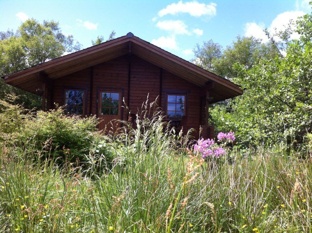 We have two selfcatering log cabins hot tub and a camping cabin and a pod set around 4 acres of mixed trees and shrubs on the Isle of Mull a wild life paradise