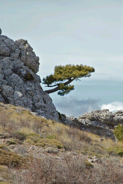 Inconformista por naturaleza,  mi religión es el bien común, por ese motivo milito y soy delegado de personal en mi empresa por @ugt_comunica