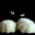 ثامر (@thamerrof) Twitter profile photo