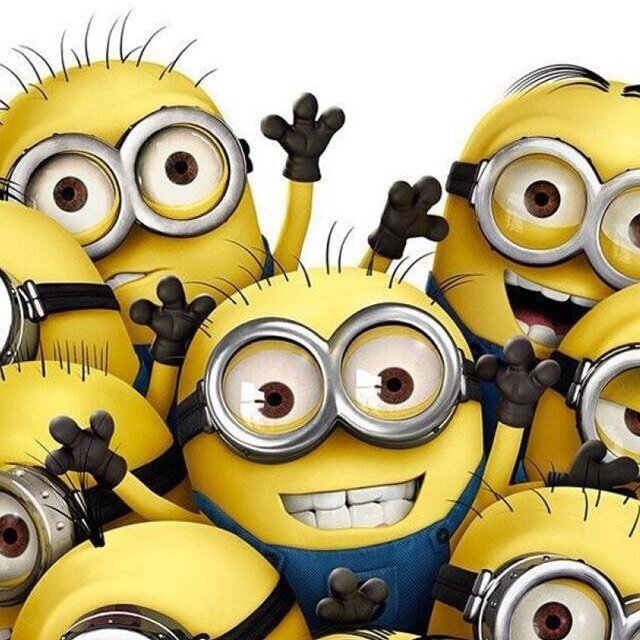 Cvanderhulst's profile picture. 