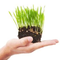 SqueezeWheat's profile picture. 