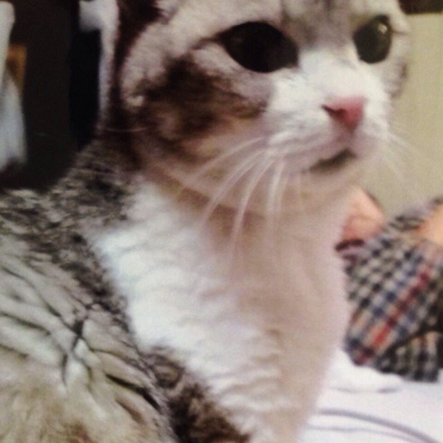 ２０２０年３月に転職しました。