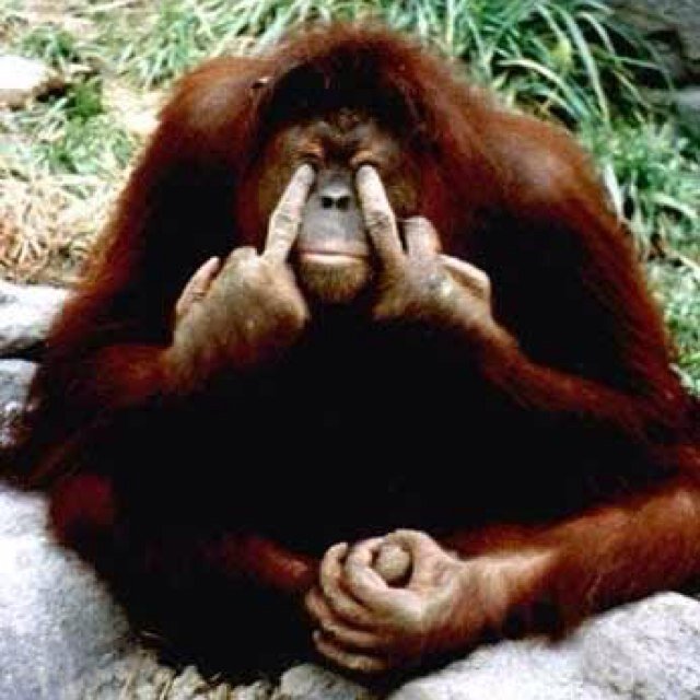 rantsbyranga's profile picture. 