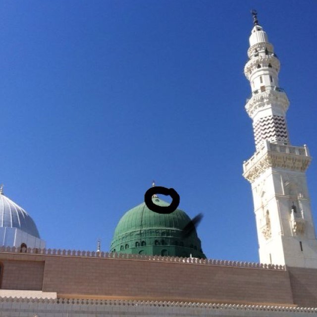 حماة الديار الزينبية