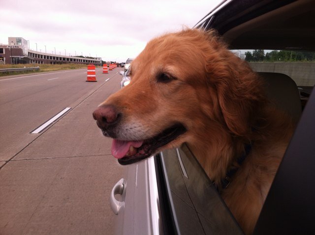 madamek55's profile picture. 