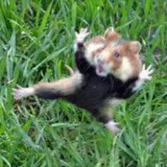 SlipperyGenius2's profile picture. A thirty something guy who loves to live life to the max. - Jamie.