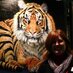 Sue Payton (@suearts) Twitter profile photo