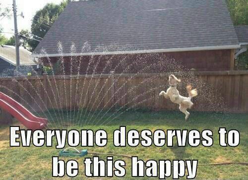 fran_rault's profile picture. Retired ICU Nurse - enjoying a a new career,  fully vaccinated including booster! #Wear your mask - maintain social distance!