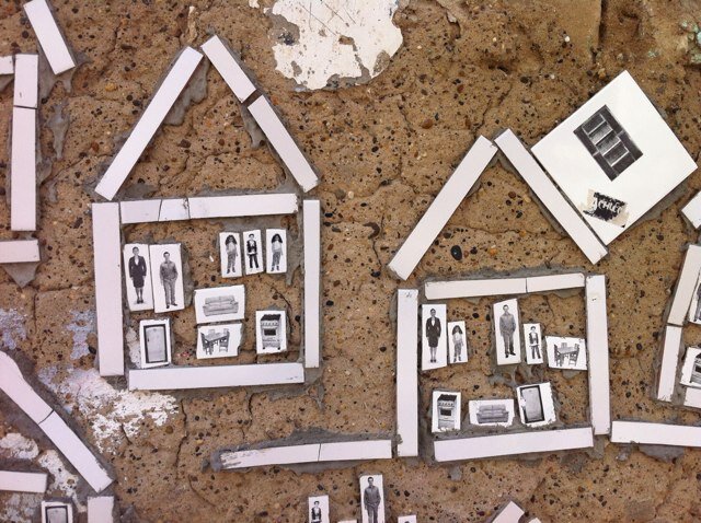 nz_stead's profile picture. 